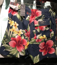 商場品牌-男褲-【實拍】運動沙灘褲