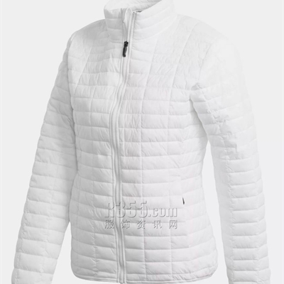 運(yùn)動(dòng)品牌-棉衣/羽絨-運(yùn)動(dòng)棉服