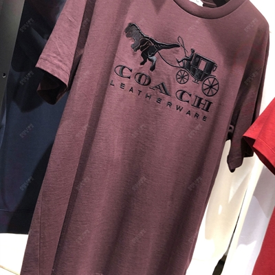 商場品牌-短袖-休閑T恤【實(shí)拍】