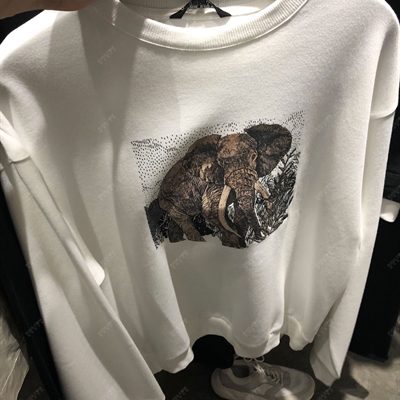 商場品牌-套頭-衛(wèi)衣【實(shí)拍】