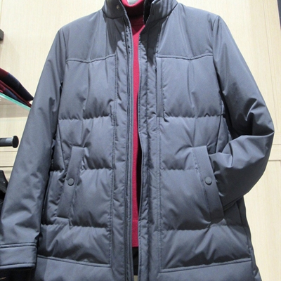 市場(chǎng)上裝-棉衣/羽絨服-休閑商務(wù)棉服