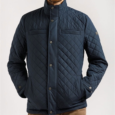 市場上裝-棉衣/羽絨服-外貿商務棉服