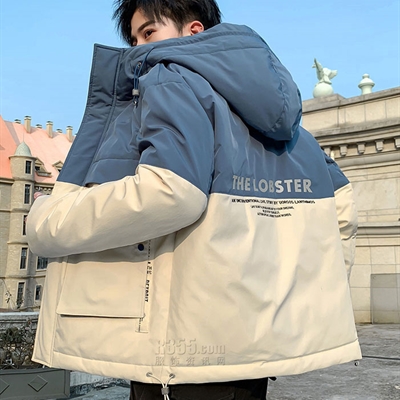 市場上裝-棉衣/羽絨服-休閑棉服