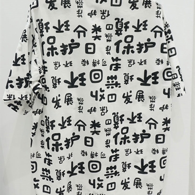 市場上裝-襯衫-休閑襯衫【實拍】
