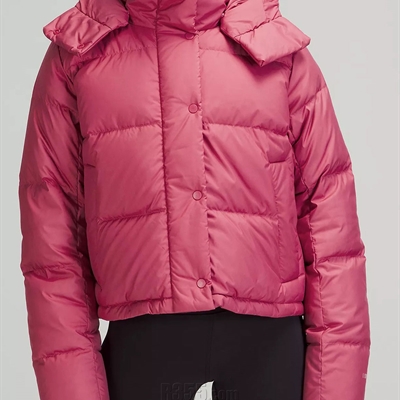 運動品牌-棉衣/羽絨-女運動棉服