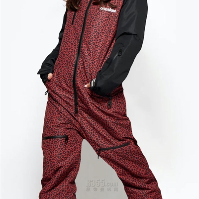 戶外品牌-滑雪服-女戶外滑雪服套裝