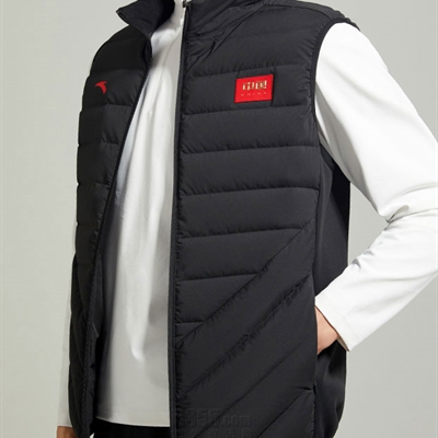 運動品牌-棉衣/羽絨-男運動棉服