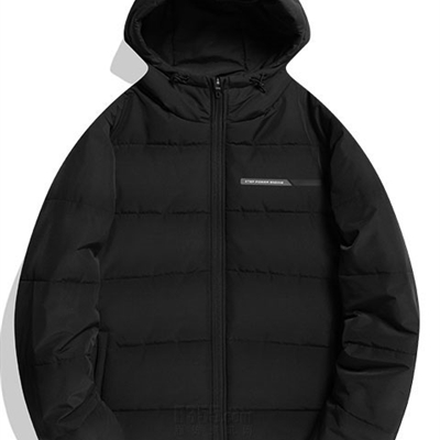 運動品牌-棉衣/羽絨-男運動棉服