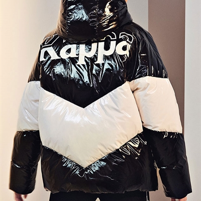 運(yùn)動(dòng)品牌-棉衣/羽絨-女運(yùn)動(dòng)棉服