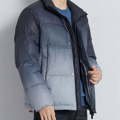 商場(chǎng)品牌-棉服/羽絨服-棉服
