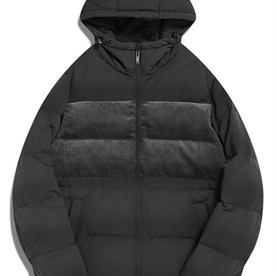 運動品牌-棉衣/羽絨-男運動棉服
