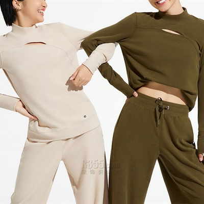 運(yùn)動(dòng)品牌-衛(wèi)衣-女運(yùn)動(dòng)衛(wèi)衣