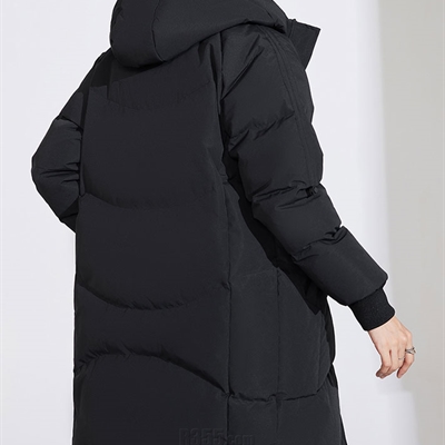 運(yùn)動品牌-棉衣/羽絨-女運(yùn)動棉服