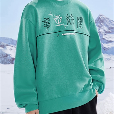運動品牌-衛(wèi)衣-男運動衛(wèi)衣
