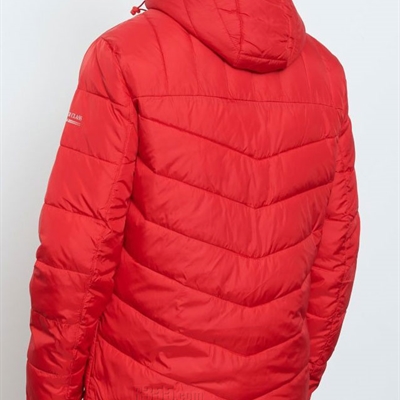 市場上裝-棉衣/羽絨服-商務棉服