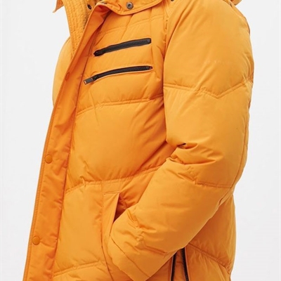 市場上裝-棉衣/羽絨服-商務(wù)棉服
