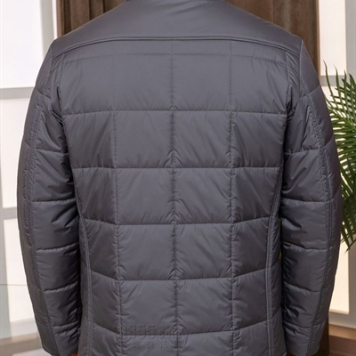 市場上裝-棉衣/羽絨服-商務棉服