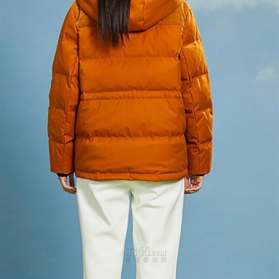 運動品牌-棉衣/羽絨-女運動棉服