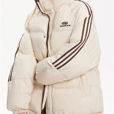 市場(chǎng)上裝-棉衣/羽絨服-電商棉服