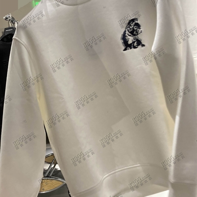 商場(chǎng)品牌-套頭-衛(wèi)衣{實(shí)拍}