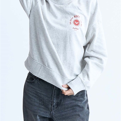 運(yùn)動(dòng)品牌-衛(wèi)衣-女運(yùn)動(dòng)衛(wèi)衣
