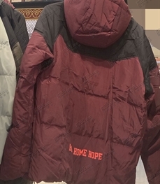 運動品牌-棉衣/羽絨-男運動棉服【實拍】