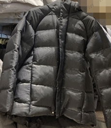 運動品牌-棉衣/羽絨-男運動棉服【實拍】