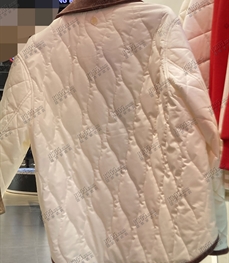 運動品牌-棉衣/羽絨-女運動棉服【實拍】