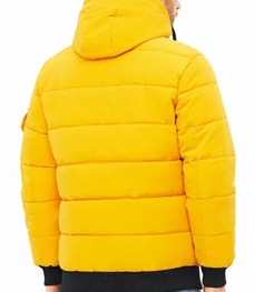 市場上裝-棉衣/羽絨服-靚仔棉服