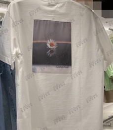 商場品牌-短袖-T恤【實拍】
